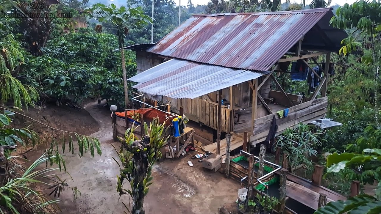 Tanpa Setingan, Kedamaian Hidup Dikebun,  Dan Lika Liku Kehidupan Nyata