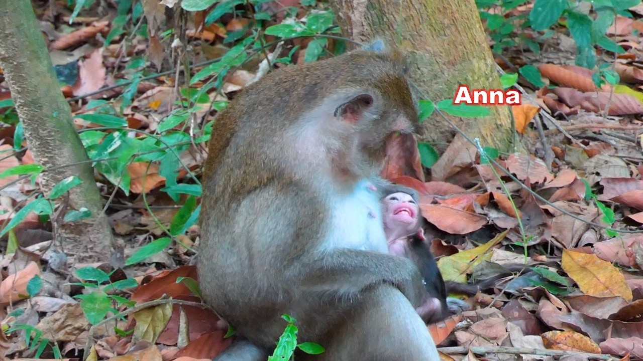 Anna tries to discipline her daughter as best she can