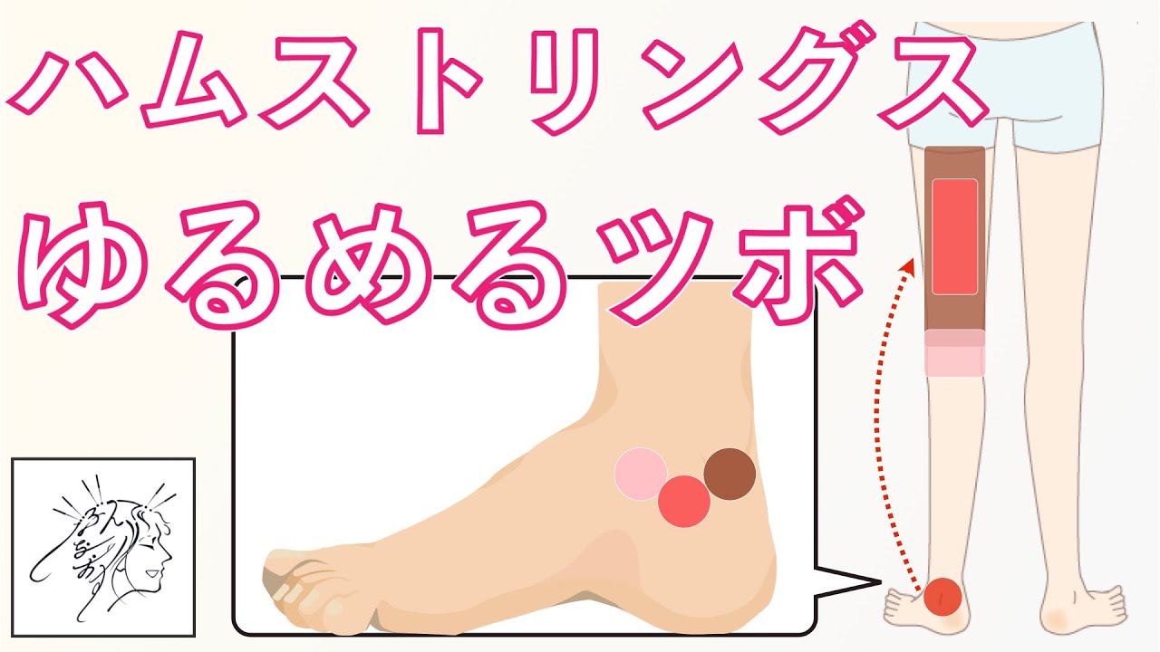ハムストリングスが硬い意外な原因とツボを使ったゆるめ方【UD版】