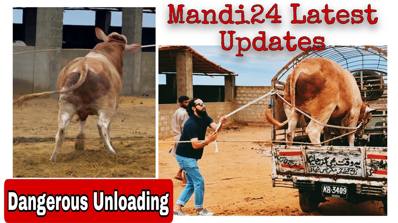 Northern Bypass Latest Updates 😍 | New Entry ❤️ | First Truck Kb Ayega? | AR Maani