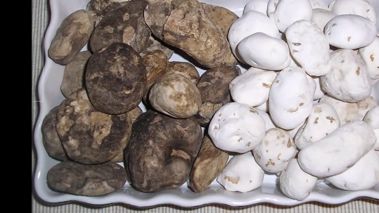 El Chu&ntilde;o ( la magia de la papa chu&ntilde;o en la alimentaci&oacute;n)