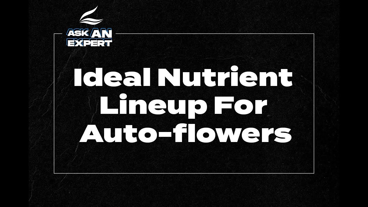 Ask An Expert  - Ideal Nutrient Lineup For Auto-flowers