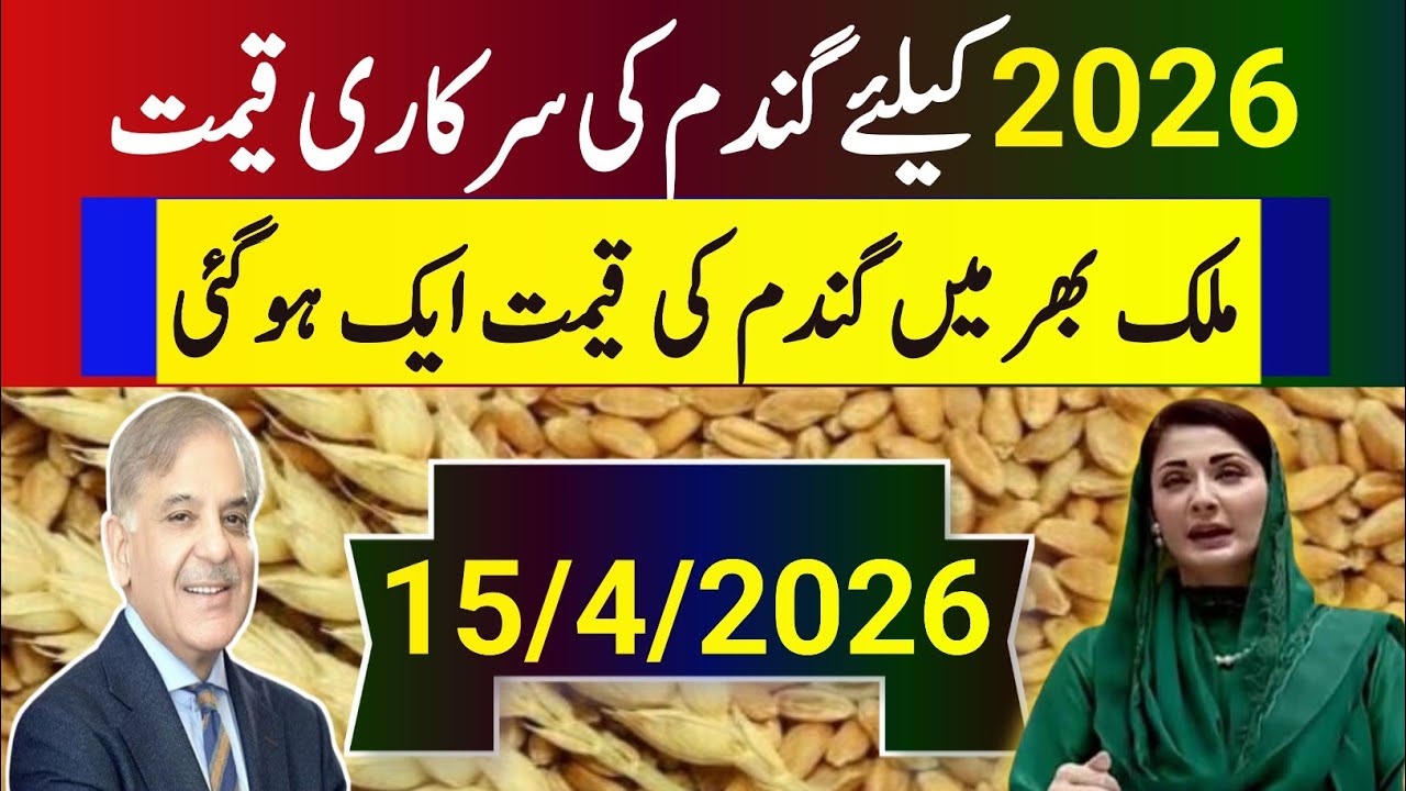 Wheat Support Price 2026 / گندم کی نئی امدادی قیمت فائنل اعلان 
