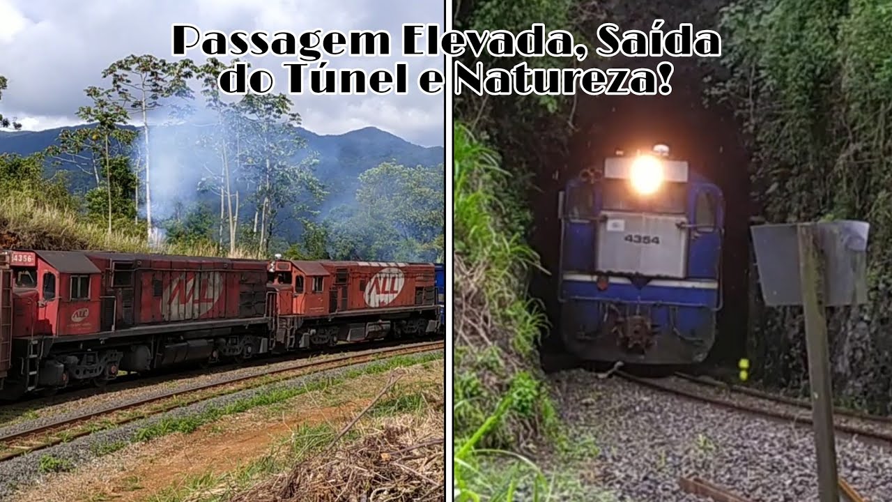 Trem em Corupá e Serra do Mar - Segue-Trem