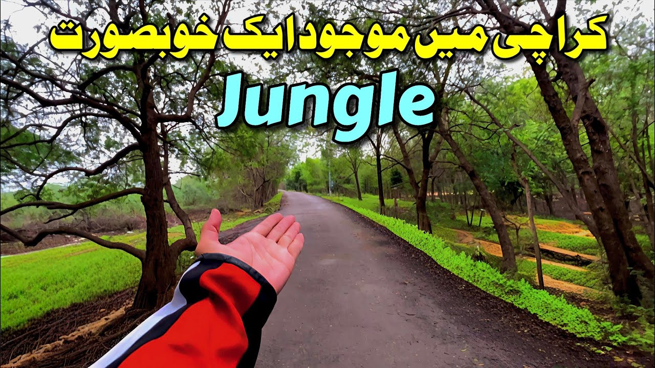 Karachi ka Hidden Green Forest 🌿 | Thaddo Forest Gadap Town