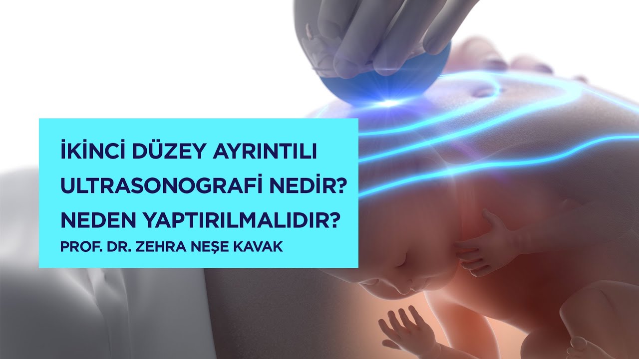 İkinci D&uuml;zey Ayrıntılı Ultrasonografi Nedir? Neden Yaptırılmalıdır?&nbsp; - Prof. Dr. Zehra Neşe Kavak