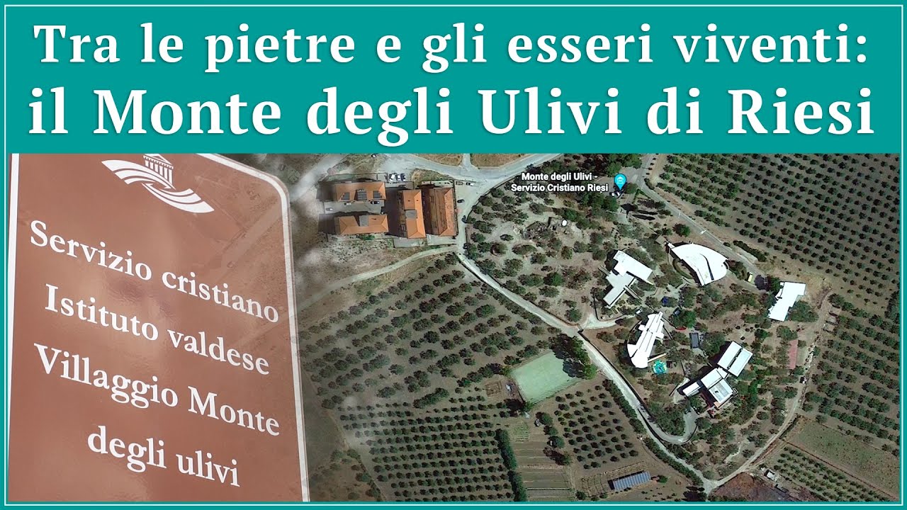 Tra le pietre e gli esseri viventi: il Monte degli Ulivi di Riesi