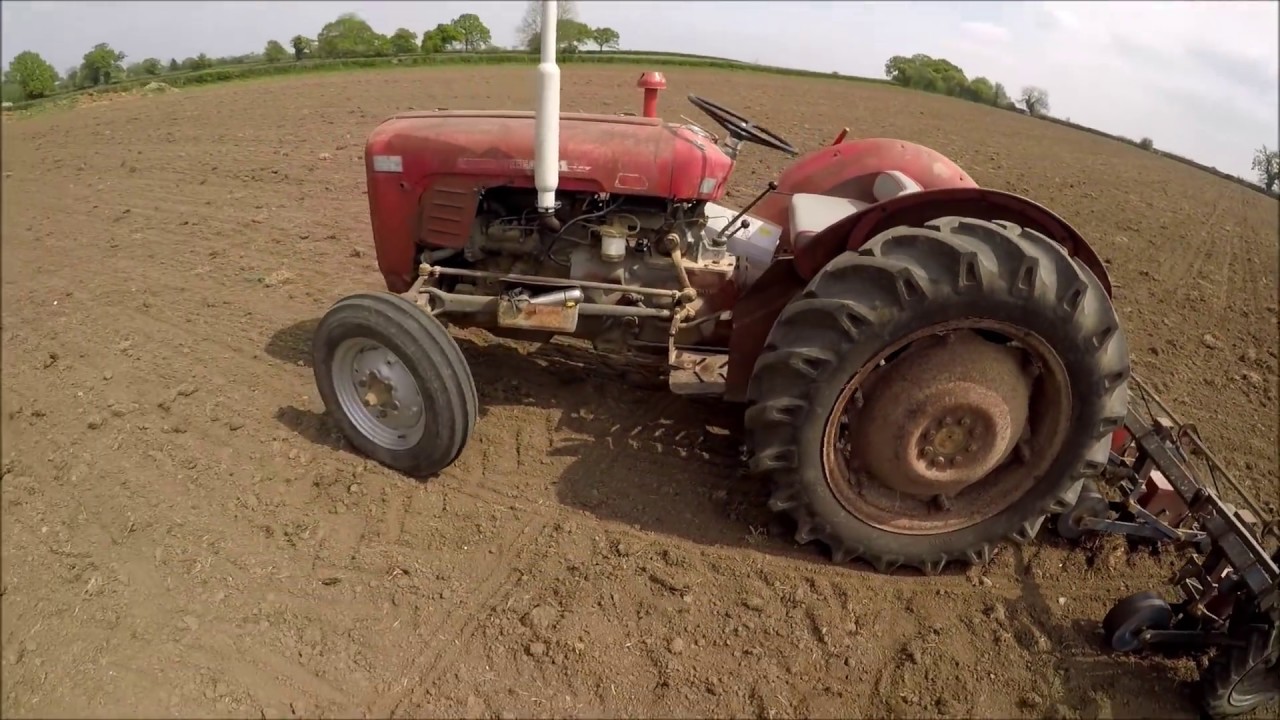 Посев кормовой свеклы, трактор Massey Ferguson 35.