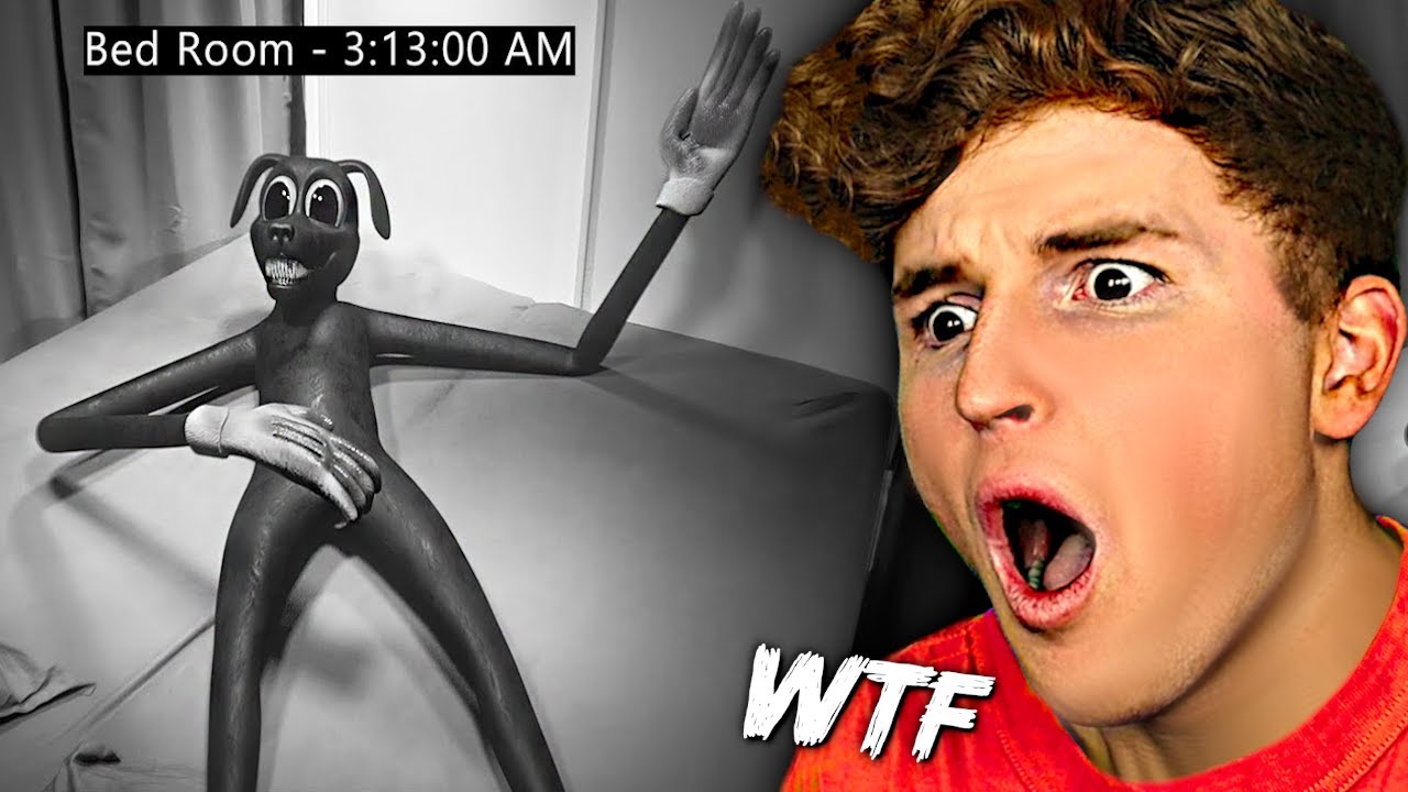 CARTOON DOG Spotted In My BEDROOM.. (HELP)