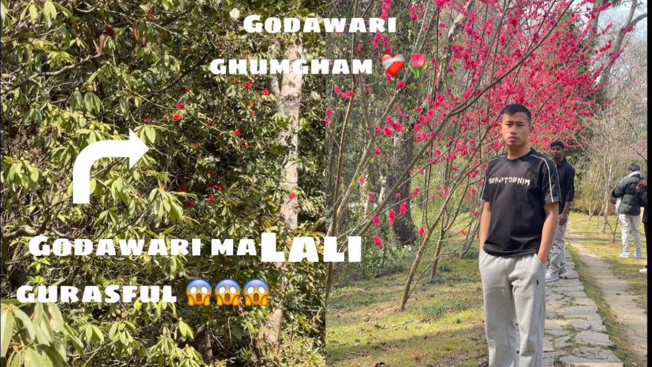 🌿 Beautiful Day at Godawari | Nature Vlog Nepal❤️‍🩹🫀 #love #nature 