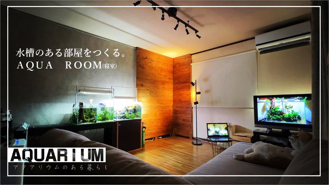 【ｱｸｱﾘｳﾑ】お洒落な部屋でアクアリウムをしたかった動画【水槽部屋DIY】