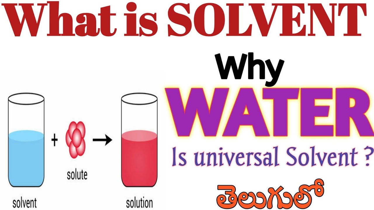 What is solvent? Why Water is universal solvent?, Types of solvent states, Solvent classifications.