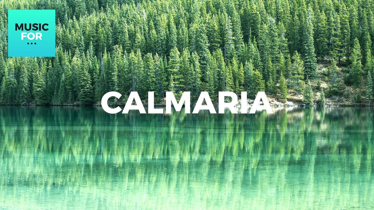 Calmaria - BELA MANH&Atilde; com Sons de P&aacute;ssaros - Relaxar e Meditar - AirDuo