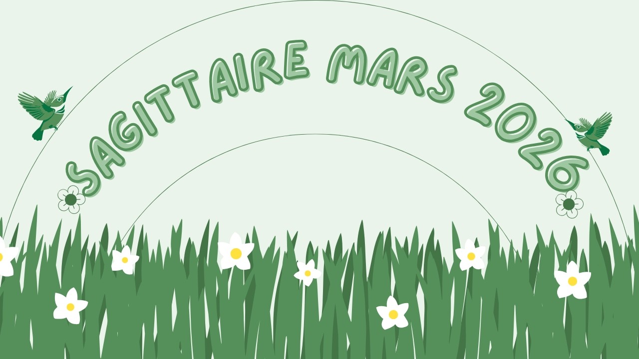 SAGITTAIRE MARS 2026 signes de feu#guidance #predictions #sagittaire #oracleamour #tarot