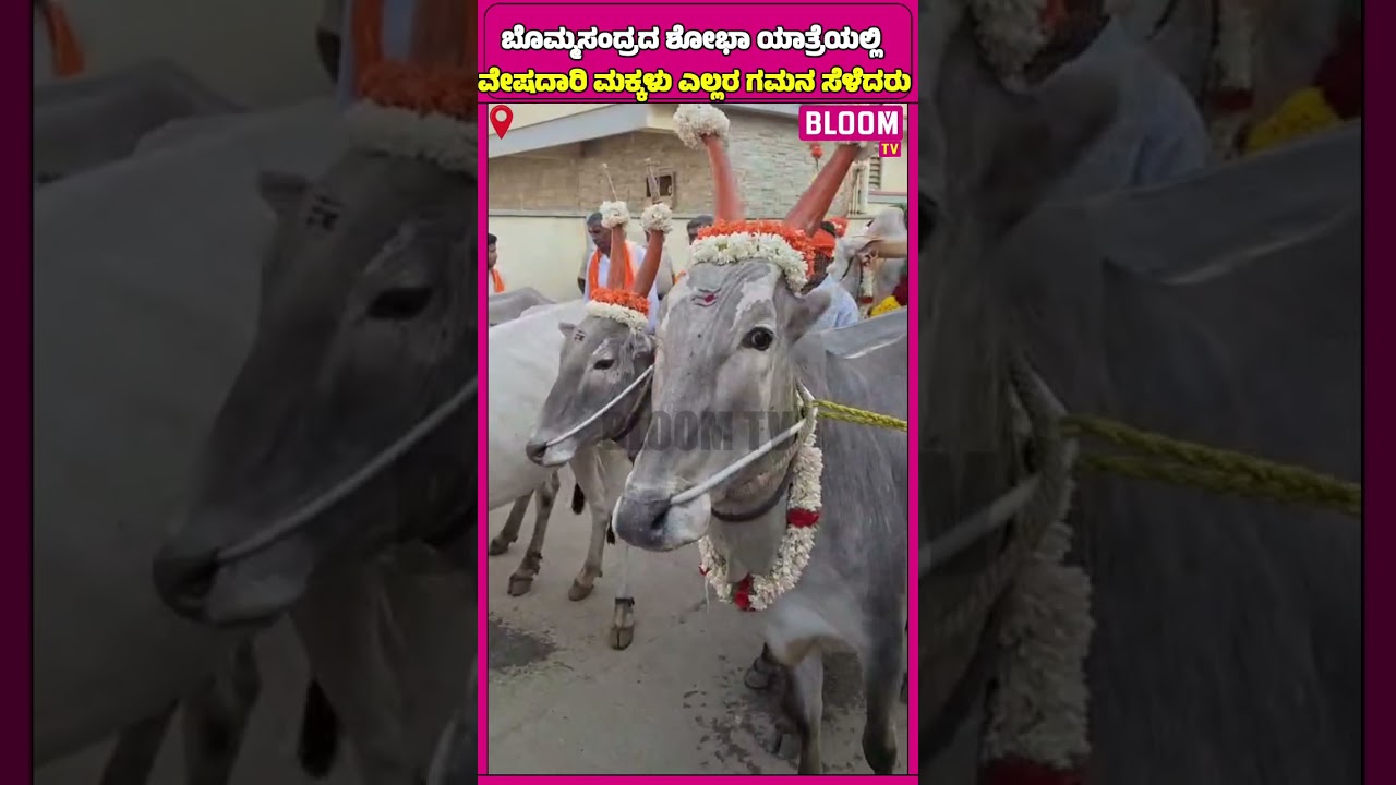 ಬೊಮ್ಮಸಂದ್ರದ ಶೋಭಾ ಯಾತ್ರೆಯಲ್ಲಿ ವೇಷದಾರಿ ಮಕ್ಕಳು ಎಲ್ಲರ ಗಮನ ಸೆಳೆದರು