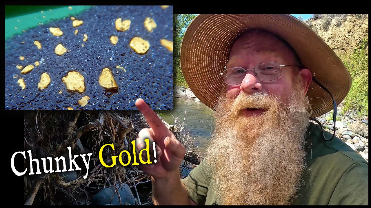 Prospector Finds Multiple Gold Pickers, in a Public Spot!