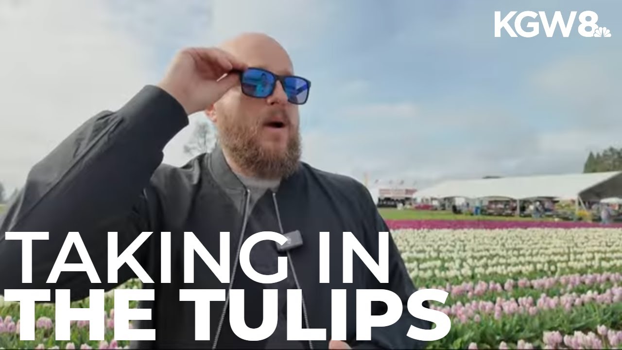 Wooden Shoe Tulip Festival offers glasses to people who are colorblind