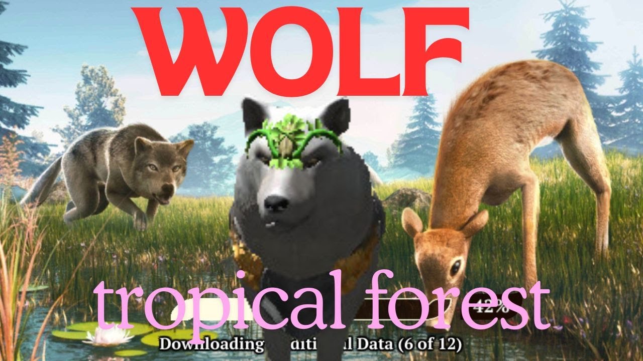Video in challenge tropical forest | the wolf | super popo game saad