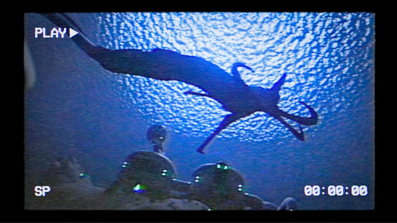 The Leviathan Incident - (Subnautica VHS)
