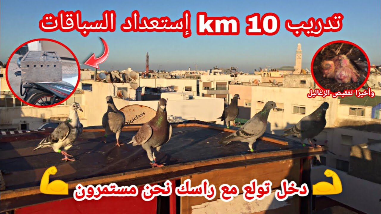 تدريب 10 km إستعداد لموسم السباقات 2024 ❤️🔥إنشاء الله إكون خير 🕊️💪