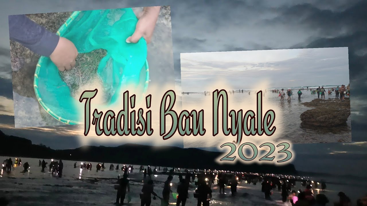 Bau NYALE ( tangkap NYALE  ) hari pertama #baunyale #seaworm #laut #seafood #pantai