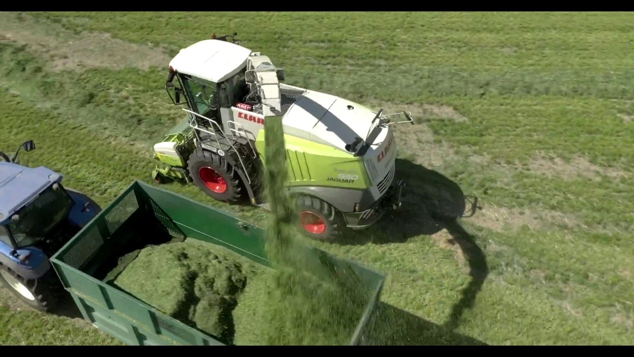 Grasdemo med CLAAS høsteutstyr på Tomb VGS