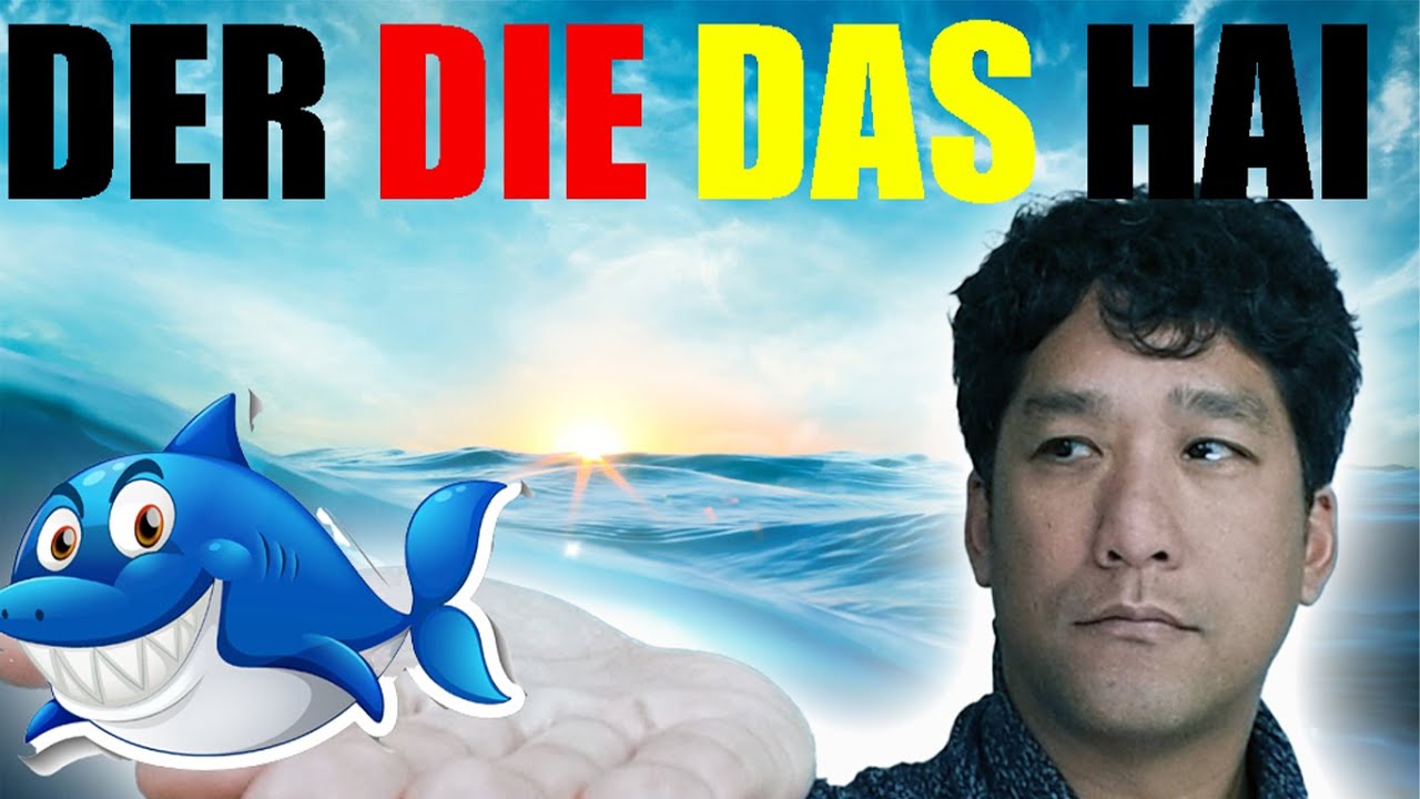 Veel leerlingen snappen dit niet! (uitleg duits lidwoorden der die das)