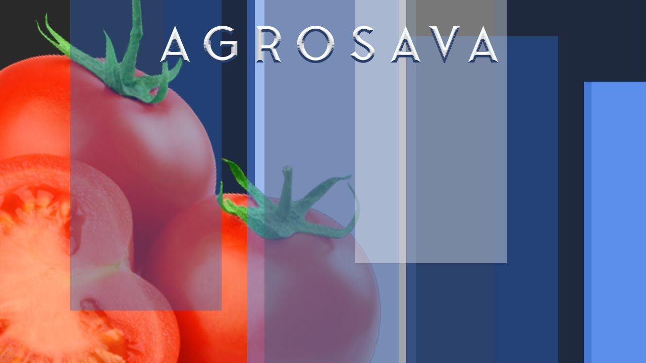 FUMIGANT ZA DEZINFEKCIJU ZEMLJIŠTA NA OTVORENOM I ZATVORENOM - BASAMID granulat