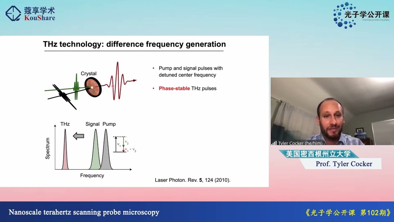Nanoscale terahertz scanning probe microscopy