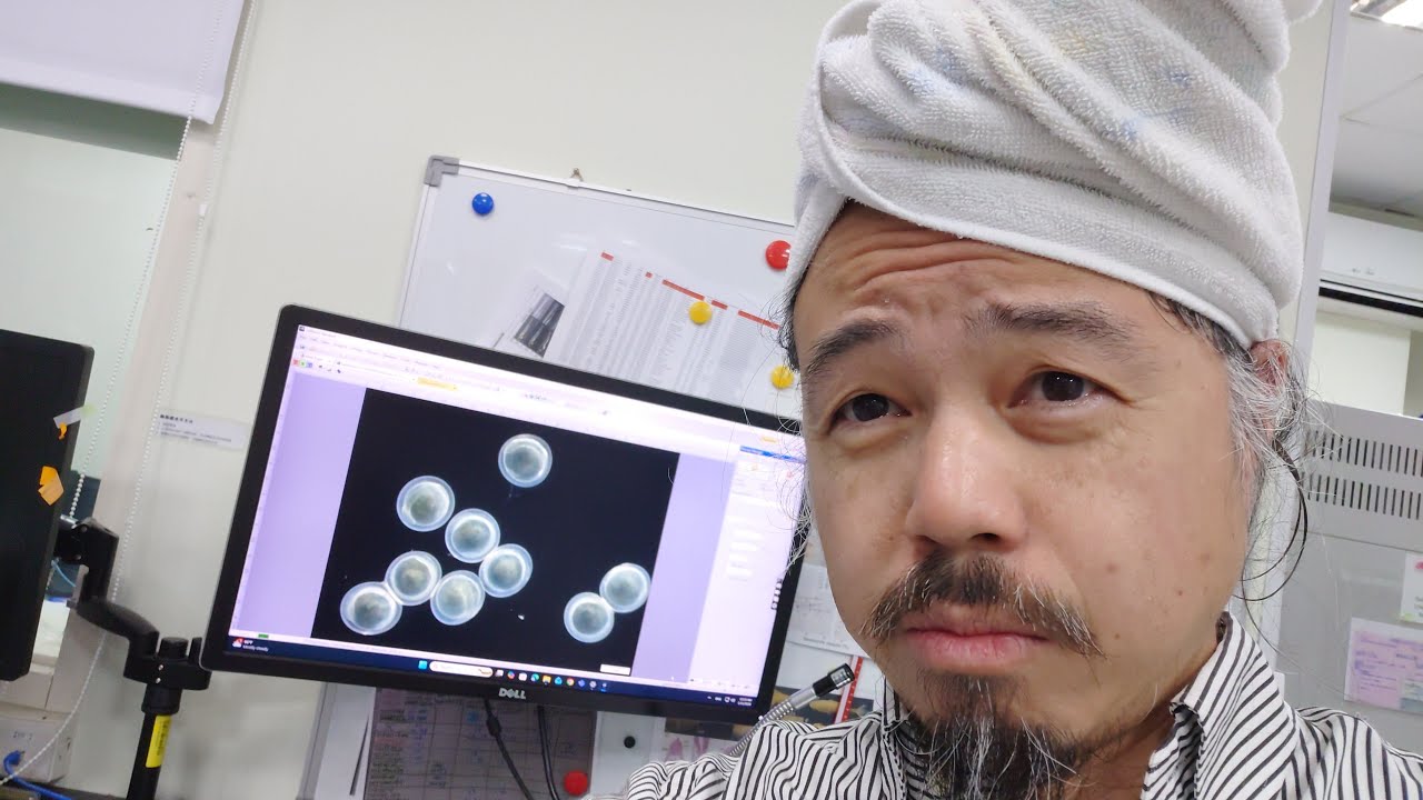 台湾の謎なフナの人工授精に成功したがために休日も仕事をする研究者のライブです