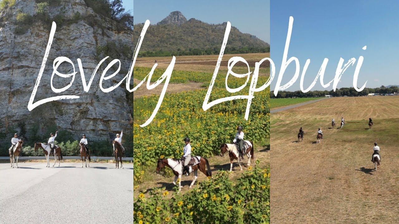 Mountains, Sunflowers and a good canter! Trail Ride Lopburi