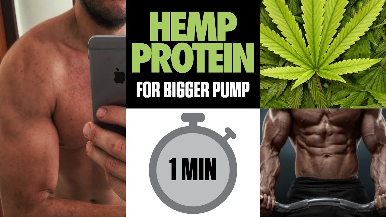 Hemp Protein Powder for bodybuilding