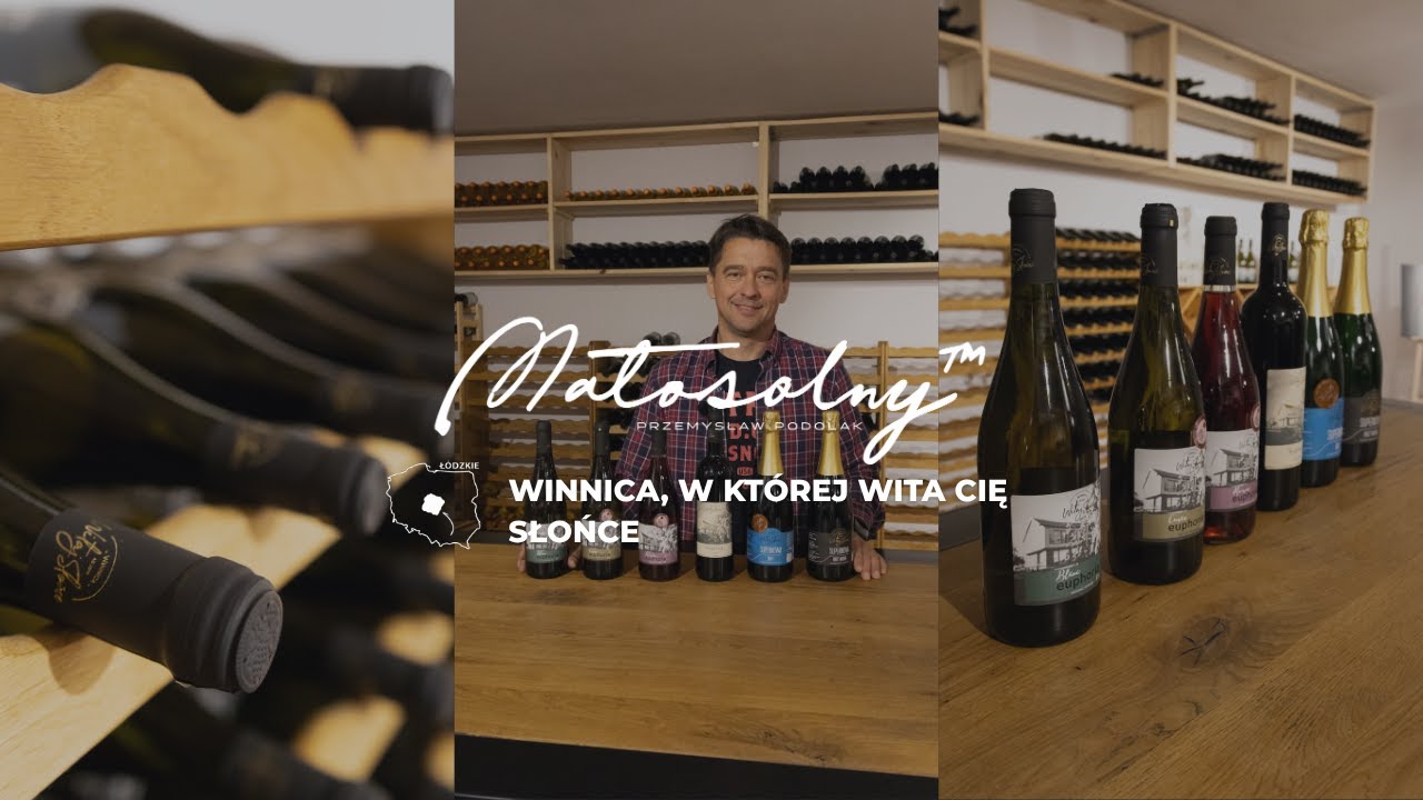 🍇 WINNICA, W KTÓREJ WITA CIĘ SŁOŃCE – O PASJI, RÓŻACH I WINIE