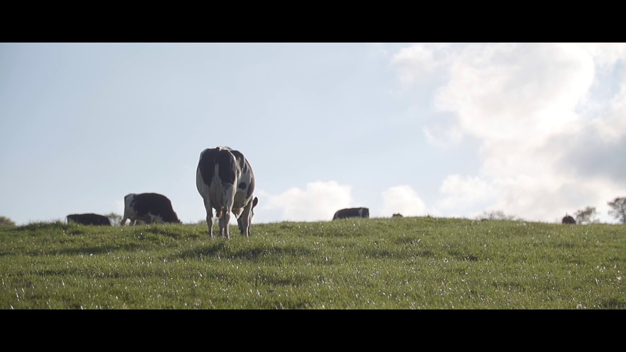 LE CRAULOIS - Mon Fermier Pr&eacute;f&eacute;r&eacute; - La Ferme Vue du Ciel