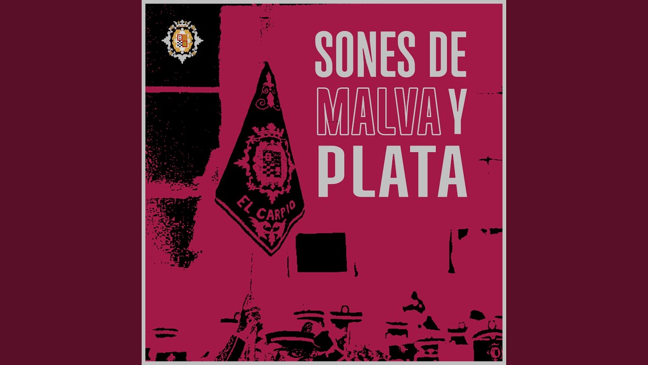 Sones de Malva y Plata (Directo)