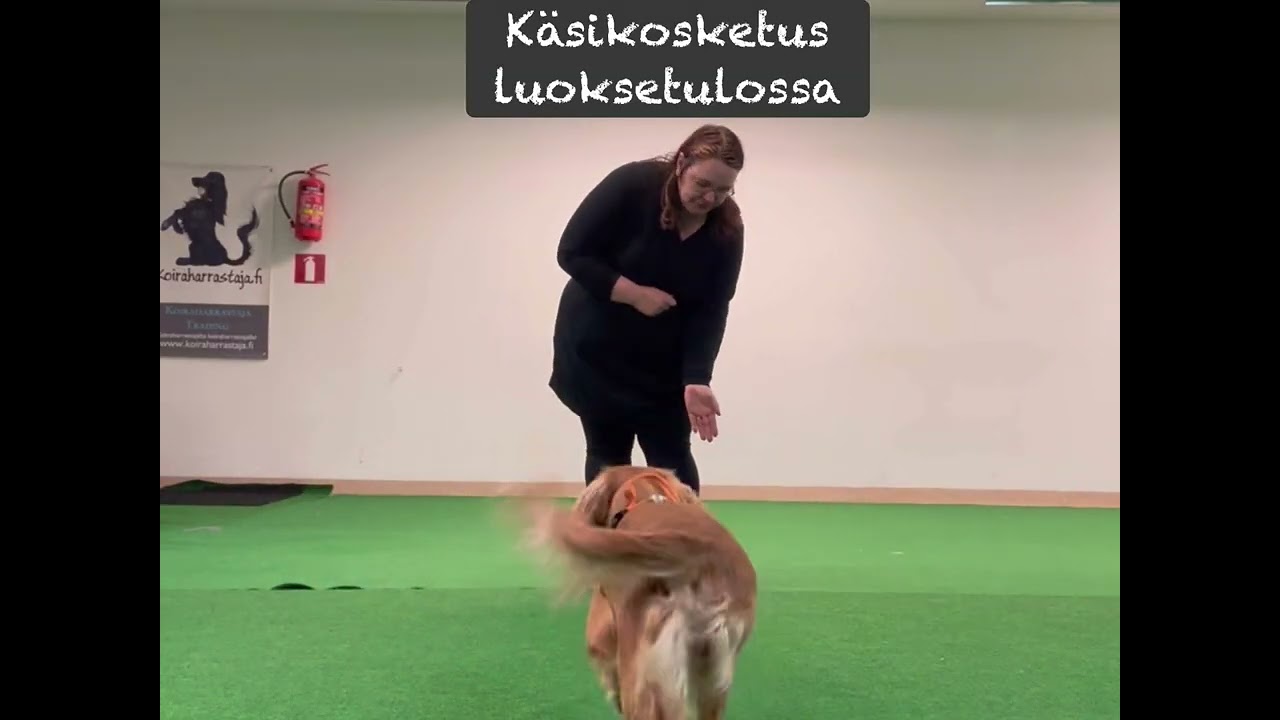Viholliskädet