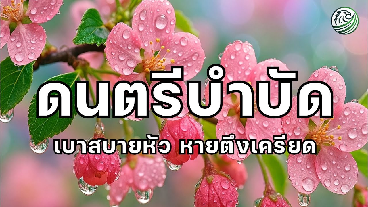 ดนตรีบำบัด เบาสบายหัว หายตึงเครียด เพิ่มความสบายใจ ดนตรีผ่อนคลายสมอง relaxing music