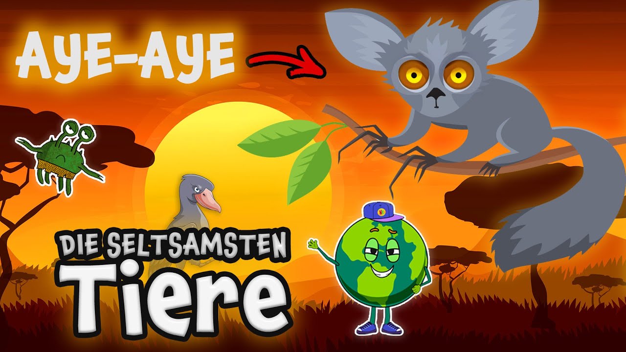 TIERE, DIE IHR NOCH NIE GESEHEN HABT 🐦 - Ein Aufklärungsfilm Für Kinder