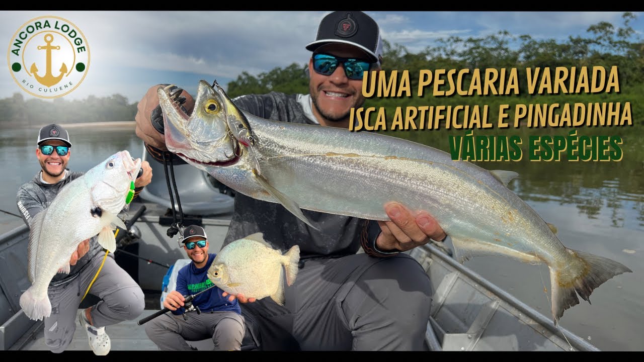 RIO CULUENE COM ISCAS ARTIFICIAIS E PINGADINHA NO FINAL DE TARDE | ANCORA LODGE | EP. 3