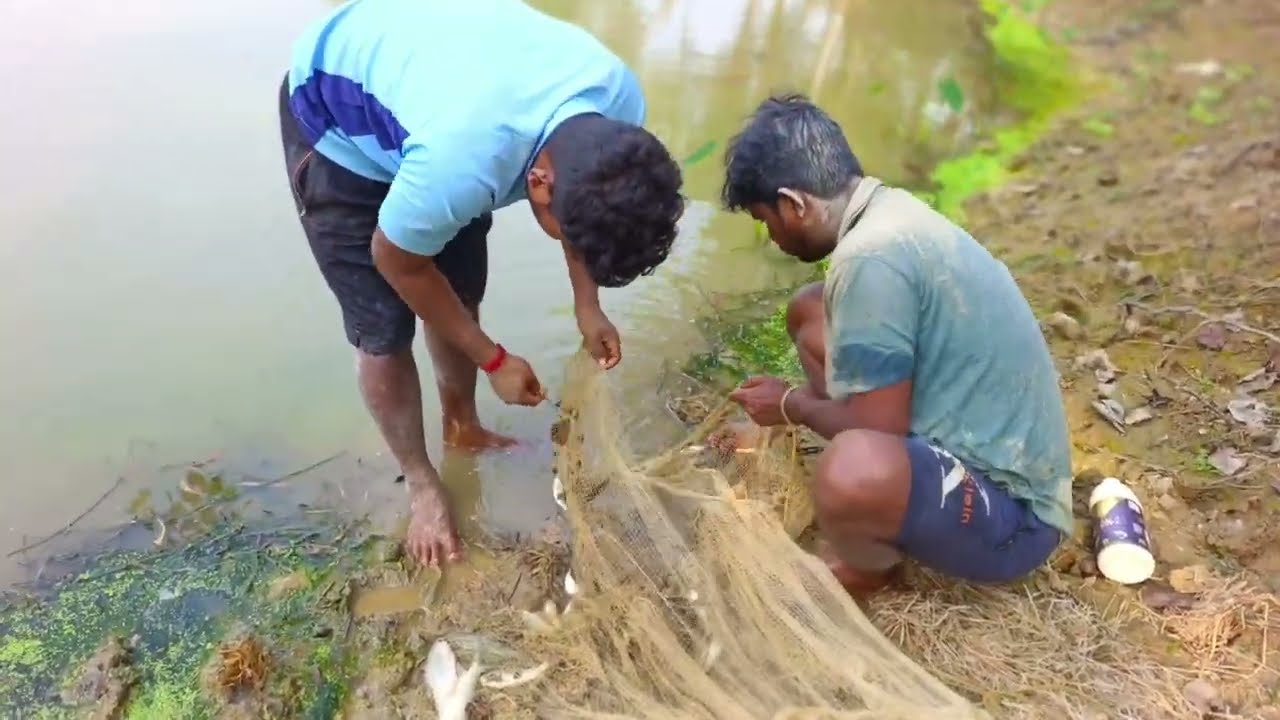 আজকে পুকুরে মাছ দেখা হচ্ছে 🐟 || village fishing video vlog 