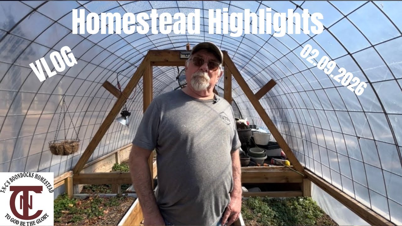 Homestead Highlights 
