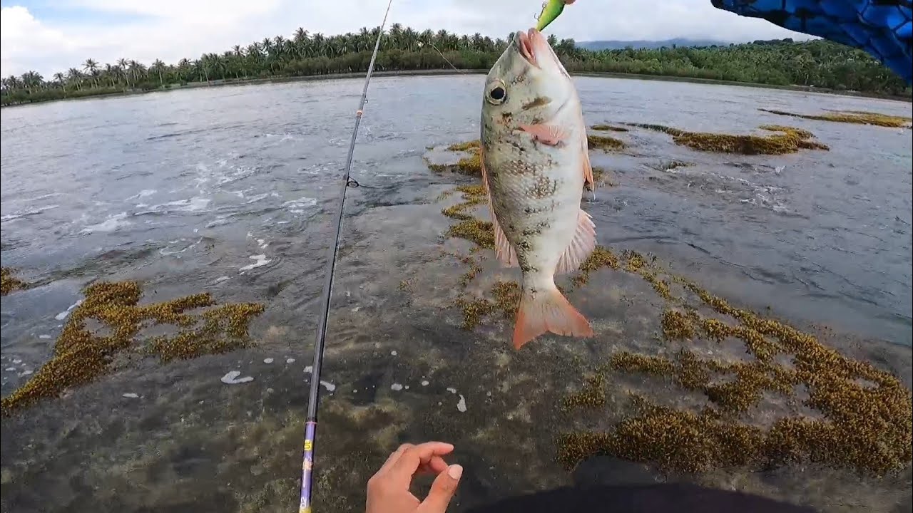 UL Ep02 Capung 702 Ultralight Fishing | Shore casting Philippines