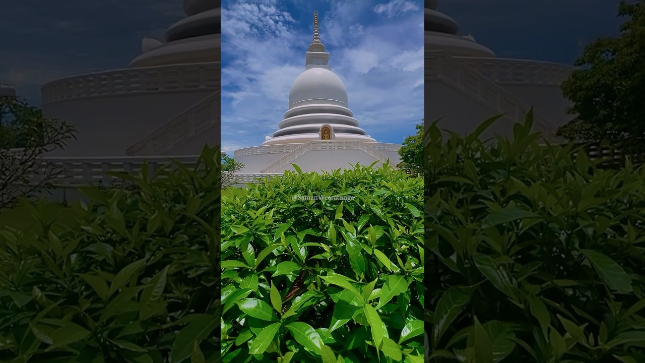 Japanese Peace Pagoda Buddhist Temple Sri Lanka Travel Destinations Amazing Galle City Fort Views