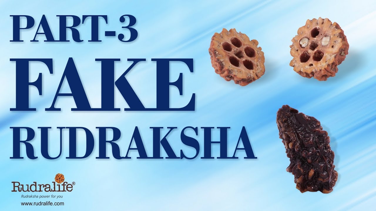 Identify Fake Rudraksha - Part 3 | Rudralife