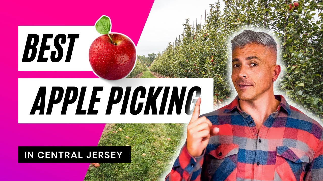 Best Apple Picking In Monmouth County New Jersey