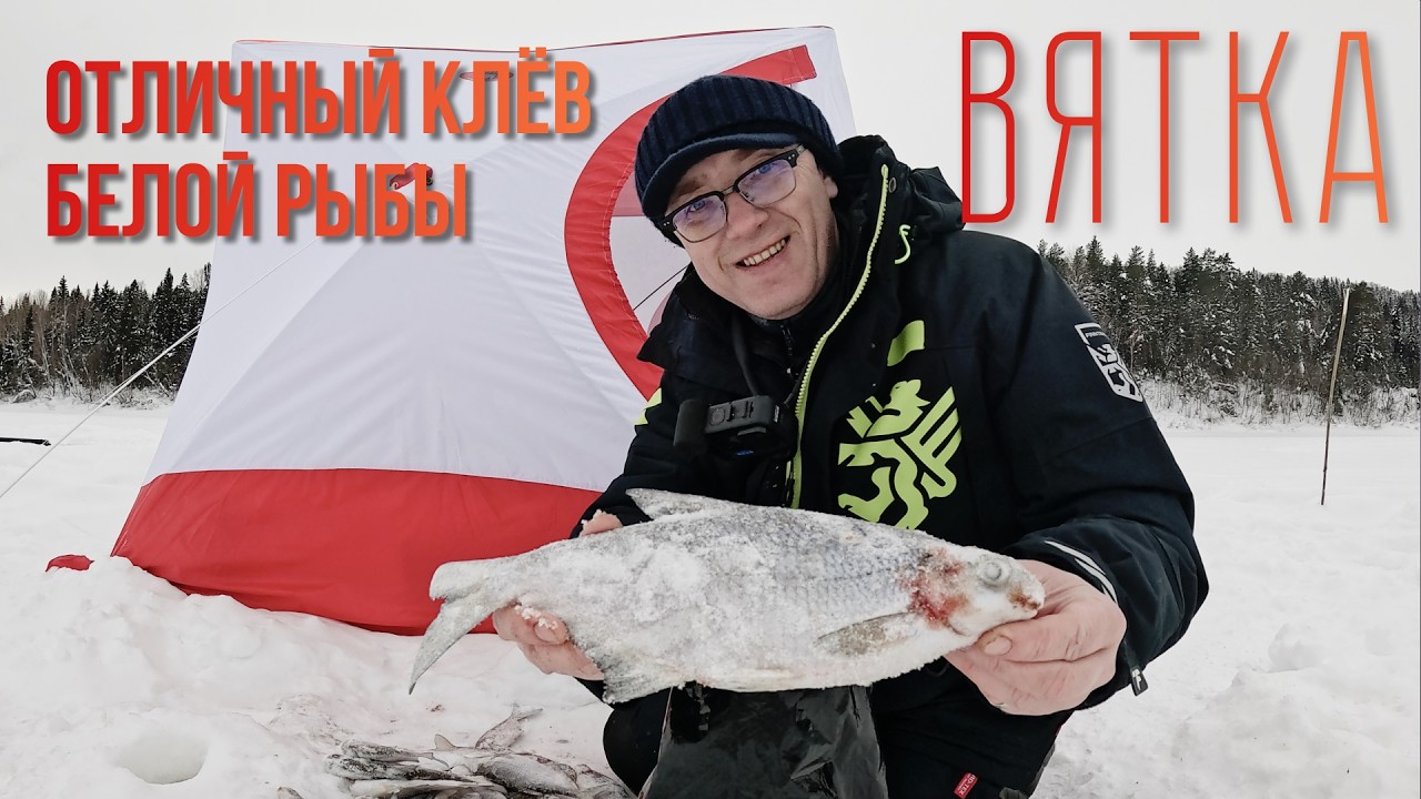 Отличный клёв белой рыбы. Вятка. Советский район.