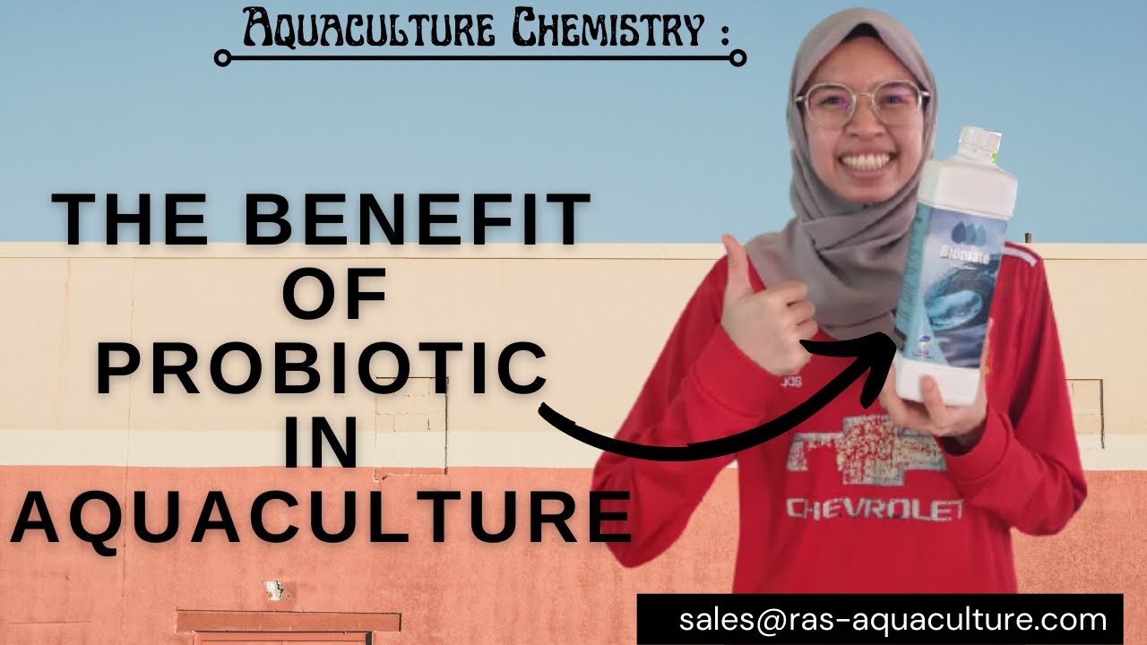 Aquaculture Chemistry Series | The Benefit of Probiotic in Aquaculture