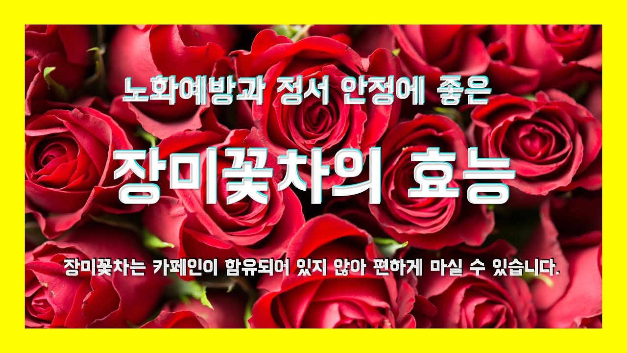 노화예방과 정서 안정에 좋은 장미꽃 차의 효능