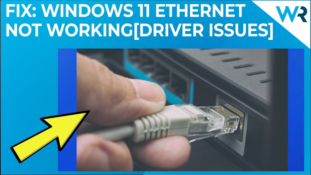 FIX: Windows 11 Ethernet not working [Driver issues]