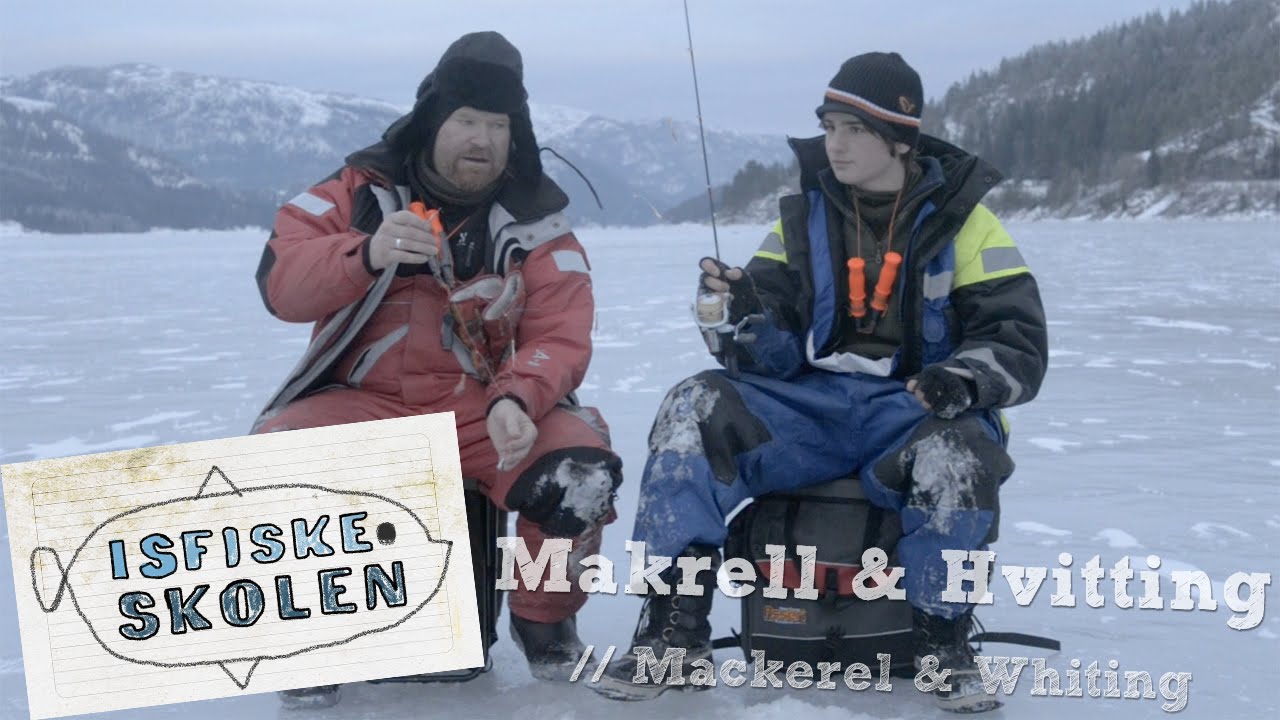 Isfiske makrell og hvitting // Ice fishing mackerel and whiting - Isfiskeskolen Ep7